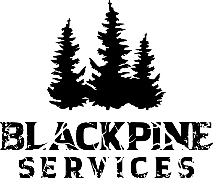 blackpine logo logo full color rgb 826px@72ppi